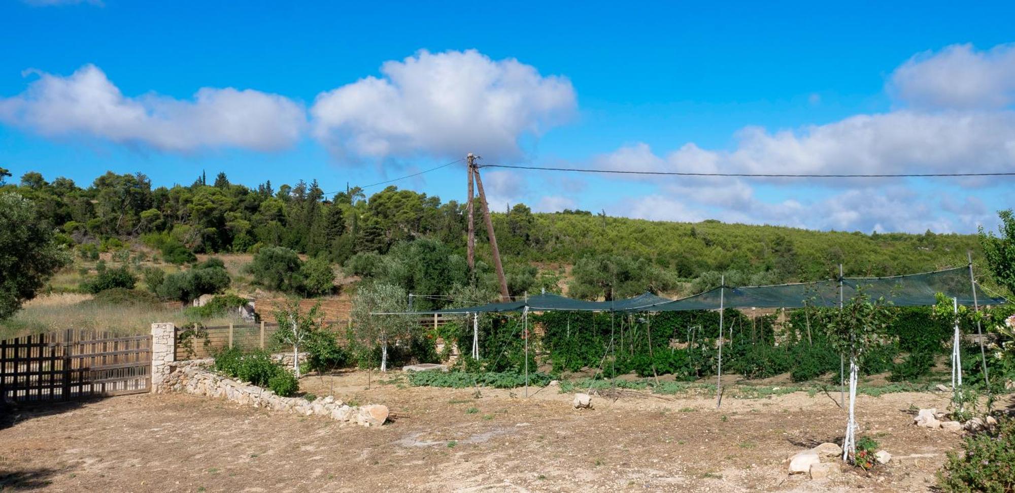 Fterini Apartments Sterna & Alletri Agios Leon Екстер'єр фото